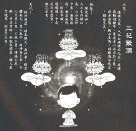 三花聚頂意思|道教里经常说“三花聚顶”，到底是哪三花？它们又是如何聚顶？